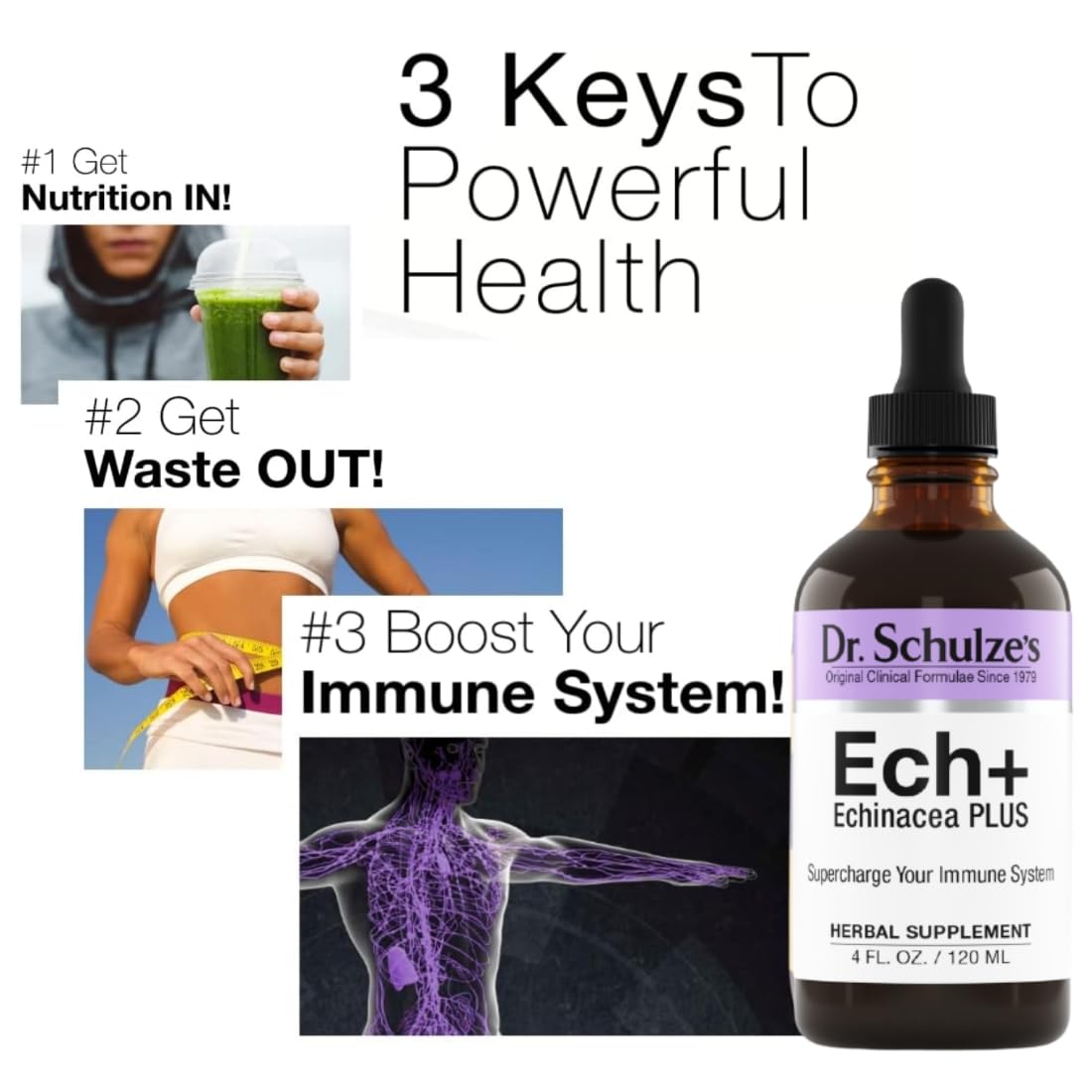 Dr. Schulze's Echinacea Plus | Echinacea Root and Seed | All Organic Extract | Gluten-Free Dr. Schulze'sUS supplements