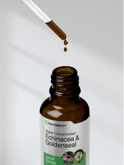 Echinacea Goldenseal Liquid Extract | 2 fl oz | Alcohol Free Tincture Drops | Vegetarian HorbäachUS supplements