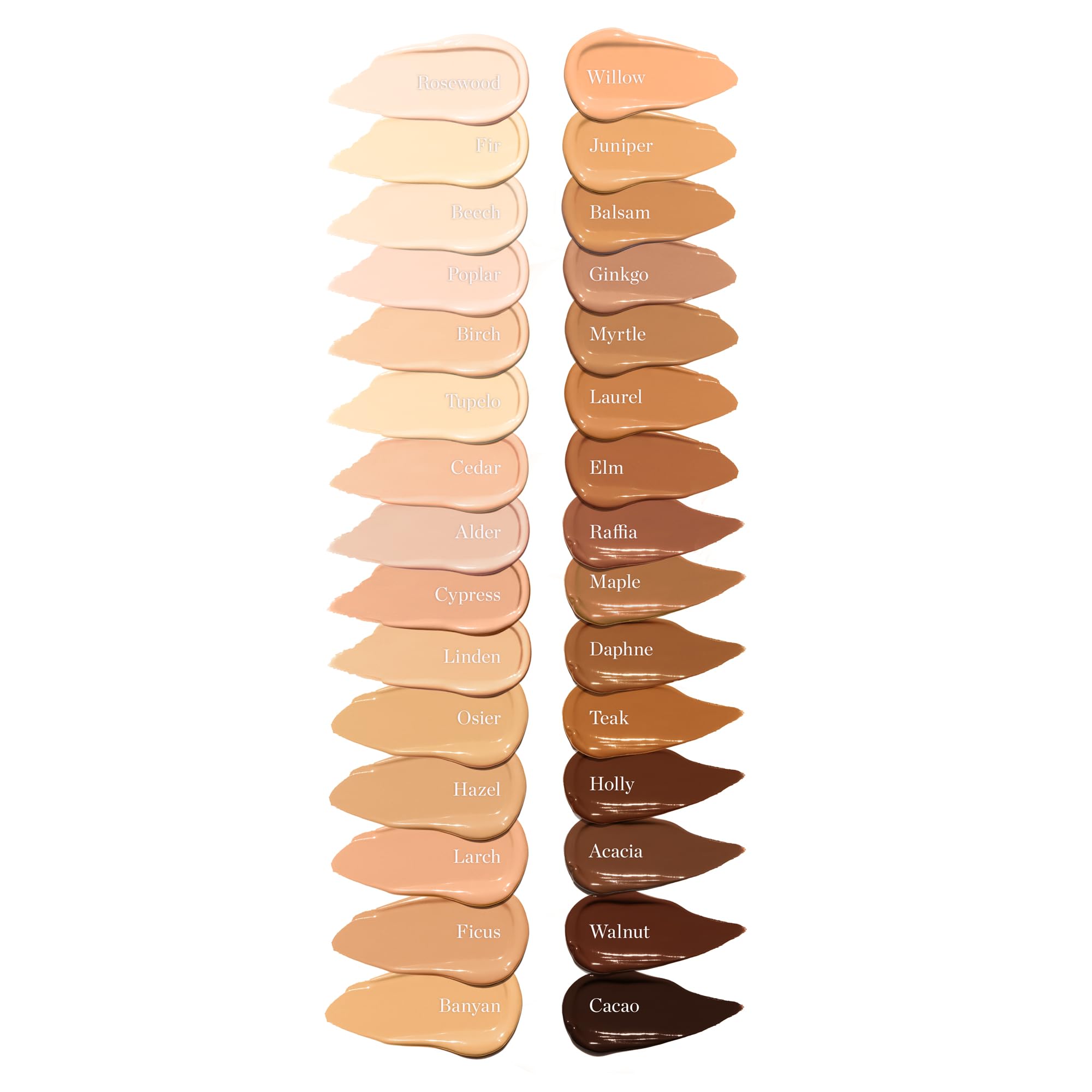 Ogee Complexion Perfecting Under Eye Concealer - Certified Organic Full Coverage Concealer - Buildable Coverage - OSIER 1.75W - Light Medium (Olive Undertones) OgeeAu supplements
