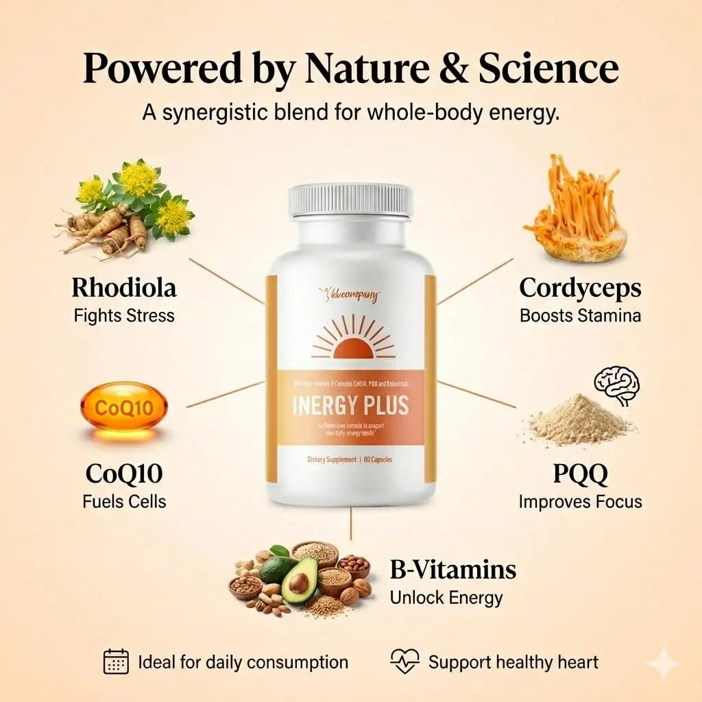InergyPLUS | Energy Vitamins for Women, Fatigue, Natural Energy Supplements for Focus | Vitamin B12, Folic Acid, Rhodiola Rosea, Cordyceps, CoQ10, Caffeine Free | Packaging Vary | 60 Ct BB Companynz supplements