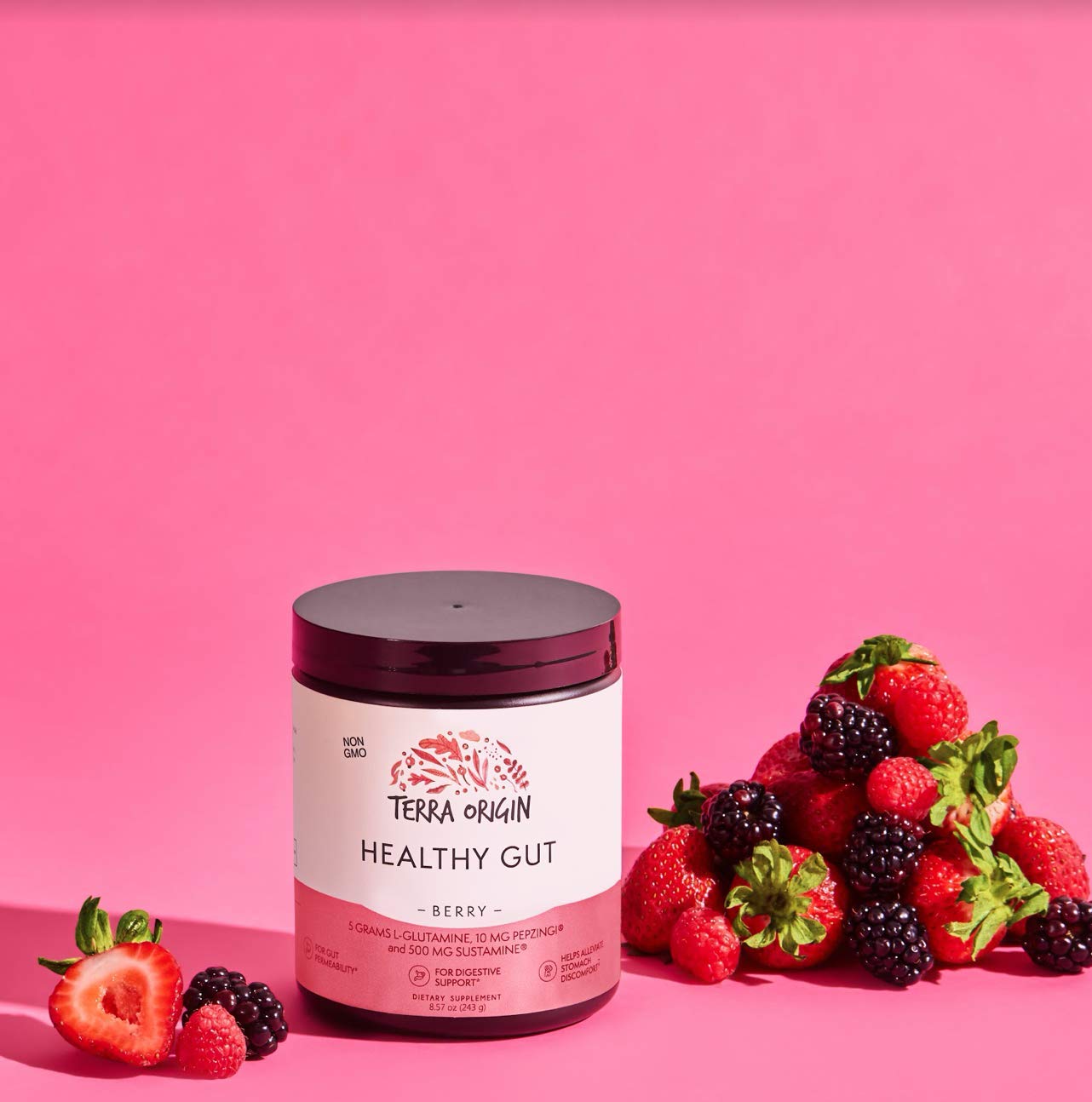 TERRA ORIGIN Healthy Gut Powder (Berry Flavor) |30-Servings with L-Glutamine, Zinc, Glucosamine, Slippery Elm Bark, Marshmallow Root and More! TERRA ORIGINUS supplements