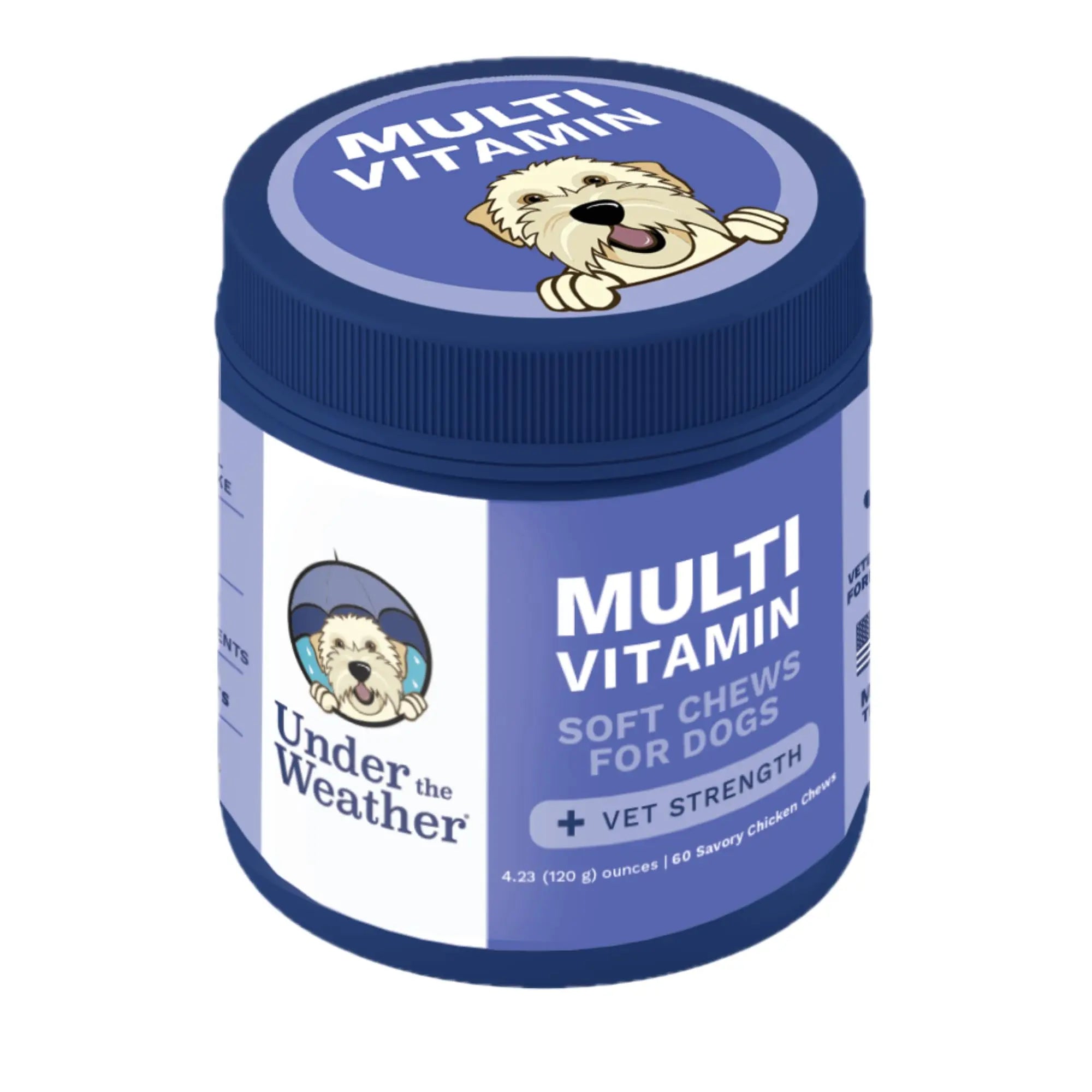Under the Weather Multivitamin for Dogs | Vet Formulated Daily Canine Health Supplies for Immunity, Skin, Coat & Joint Support | All-in-One Multivitamin for Dogs of All Breeds & Sizes | 60 Count Under the WeatherAu supplements