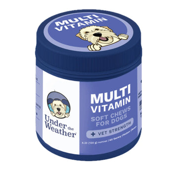 Under the Weather Multivitamin for Dogs | Vet Formulated Daily Canine Health Supplies for Immunity, Skin, Coat & Joint Support | All-in-One Multivitamin for Dogs of All Breeds & Sizes | 60 Count Under the WeatherAu supplements