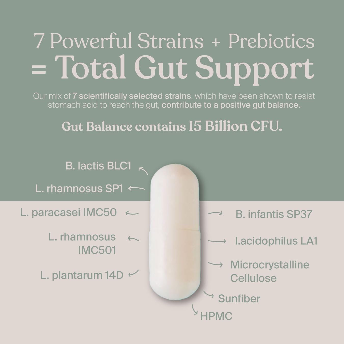 SAVVY Gut Balance Probiotics for Women & Men, 15 Billion CFU, 7 Clinically Studied Strains, Digestive Health, Immune Support, Bloating Relief, 60 Vegan Capsules, Non GMO, Sugar-Free SAVVYAu supplements