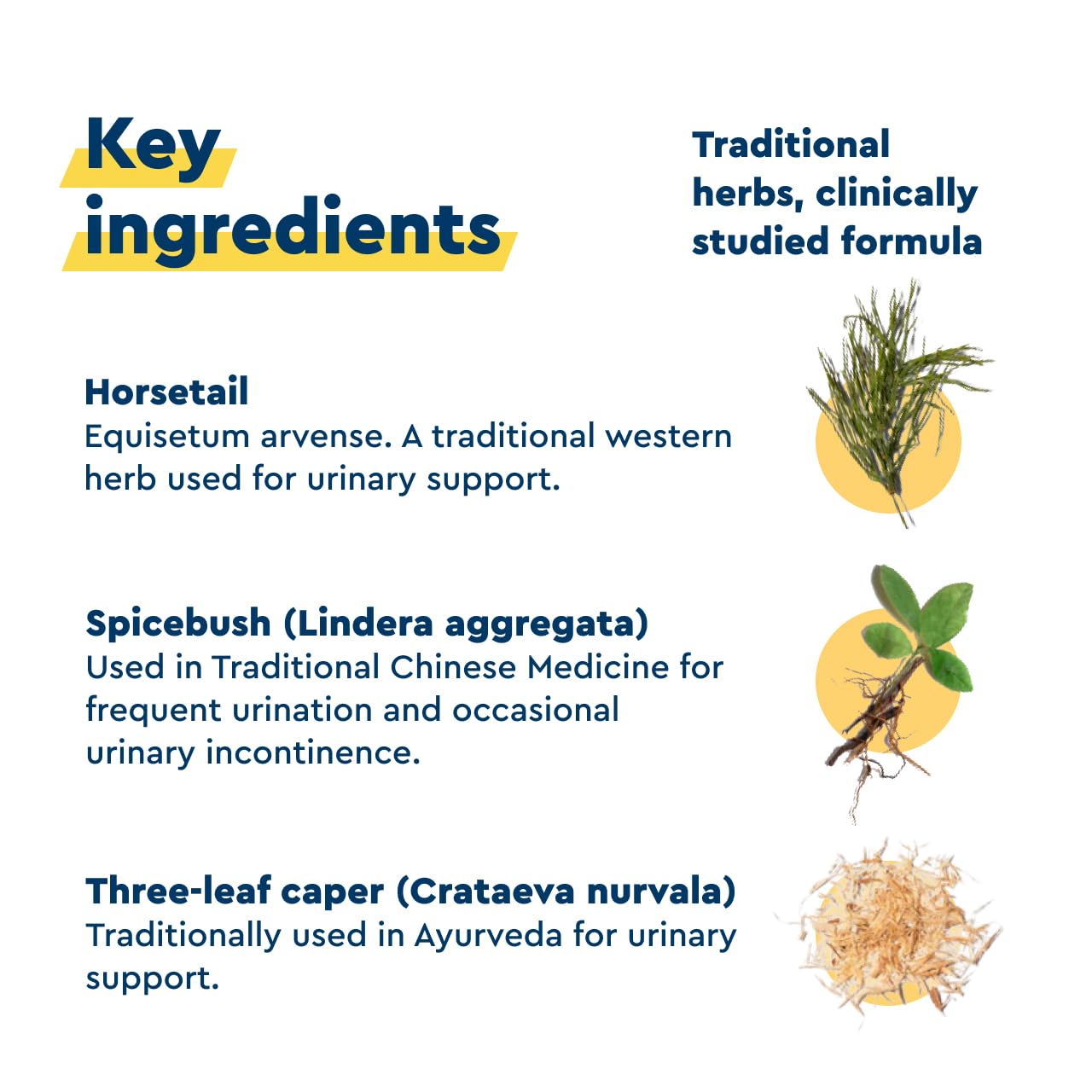 Uqora in Control Bladder Support - Daily Bladder Care & Support for Urinary Comfort - Made with botanicals, Like Horsetail & Spicebush - Gluten-Free & Vegetarian - 60 Capsules UqoraAu supplements