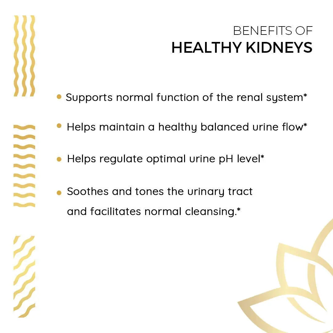 Kerala Ayurveda Healthy Kidney Herbal Tablets | Support Normal Kidney Function and Health | Kidney and Bladder Support | Urinary System Support - 90 Count Kerala AyurvedaAu supplements