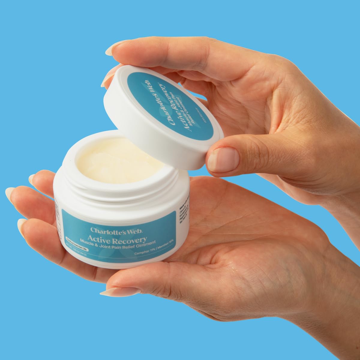 Charlotte's Web Active Recovery Muscle & Joint Relief Ointment 1.55oz Charlotte's WebAu supplements