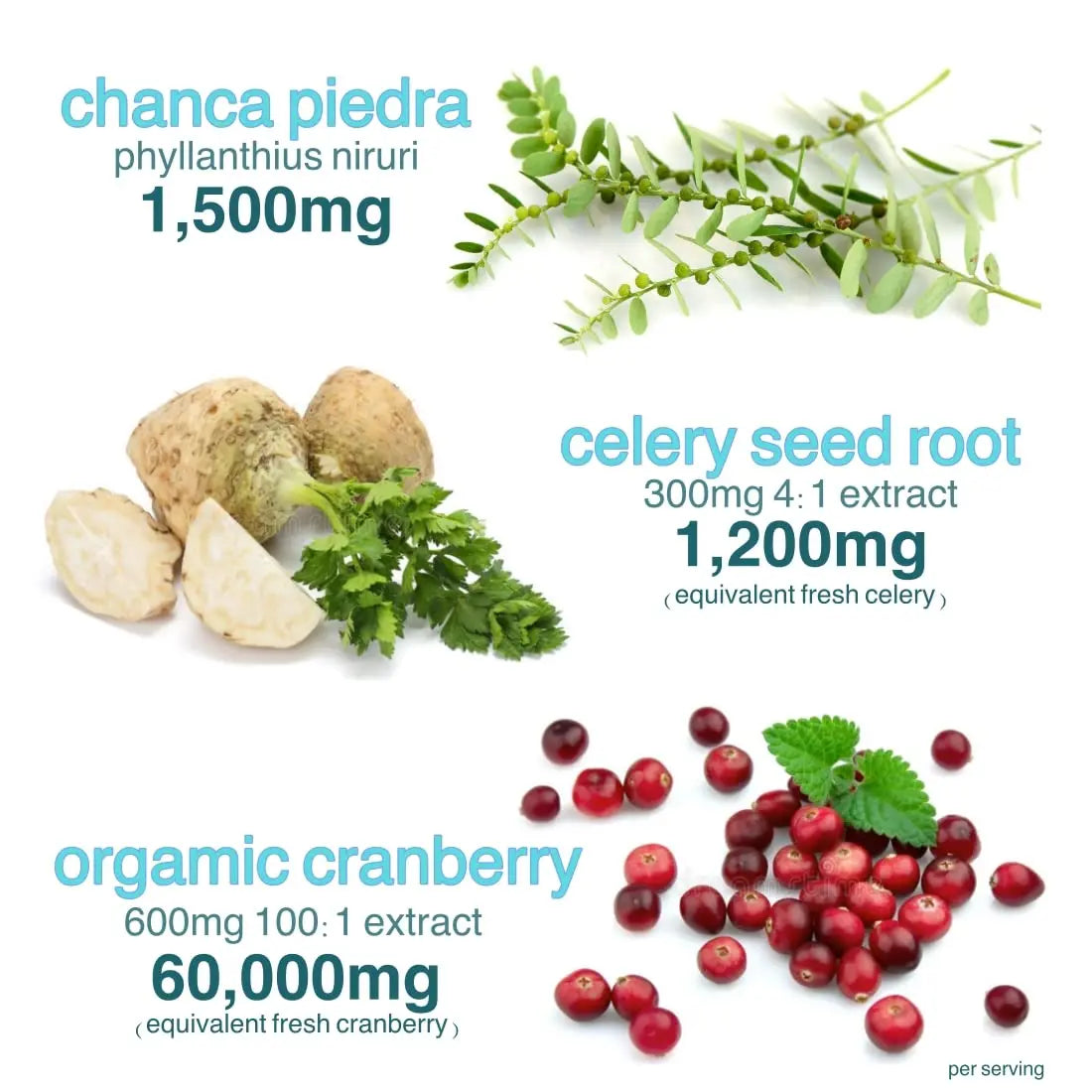 Holistic MD Stone Breaker Chanca Piedra 1,500mg Gummies Kidney Stones Cleanse Gallbladder Formula | Plus Cranberry Extract Might Help Urinary Tract Flush Impurities | Fast Absorption Sugar Free 60ct Holistic MDAu supplements
