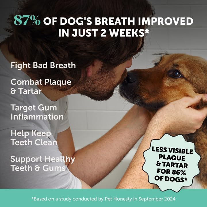 Dog Breath Freshener Dental Powder for Teeth Cleaning Plaque Off, Dental Care for Dogs, Tartar Remover for Teeth with Natural Herbal Blend + Postbiotics (Mint - 30 Servings) Pet HonestyAu supplements