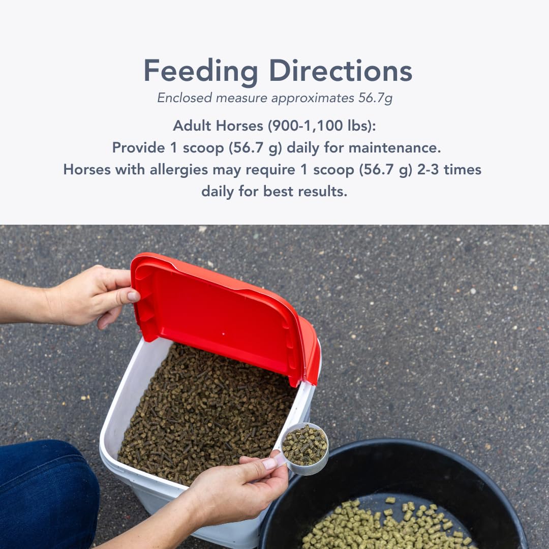 MVP Air-Way EQ Supports Healthy Lung Function and Seasonal Allergy Support in Horses, 5lb - 40 Servings MVPAu supplements