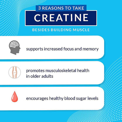 BodyTeach Creatine and Glutamine with Beta Alanine Fruit Punch - Supports Muscle Growth BODYTECHUS supplements