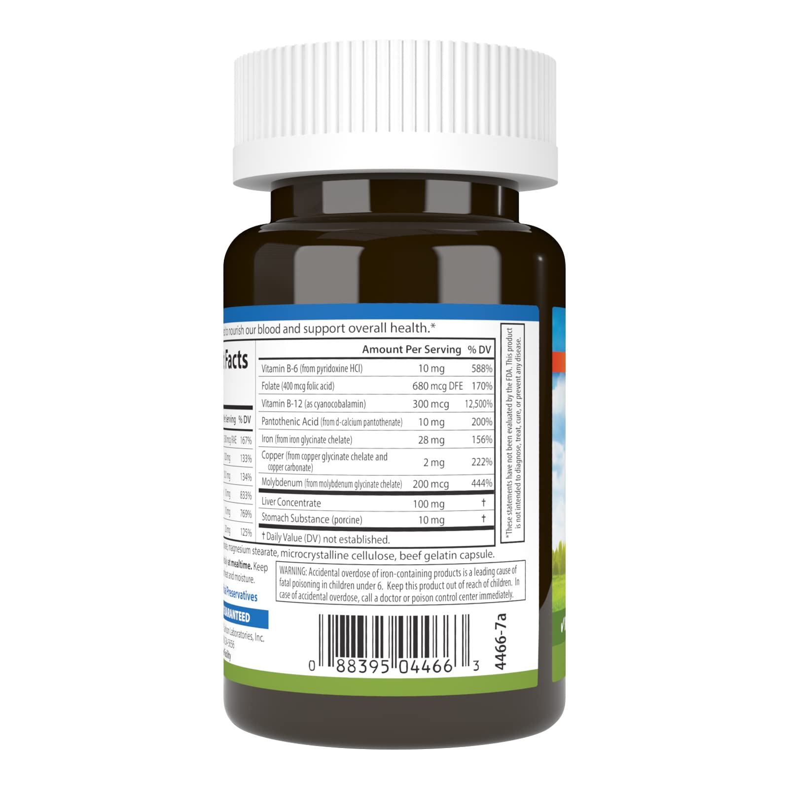 Carlson - Blood Nutrients, 28 mg Iron, Blood Development, Iron Absorption & Optimal Wellness, 40 Capsules CarlsonAu supplements