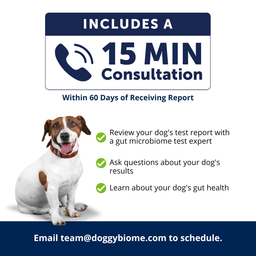 AnimalBiome Dog Gut Health Test – DoggyBiome At Home Stool Testing Kit, Canine Fecal Analysis for Digestive Issues, Diarrhea & Allergy Insights w/Personalized Report & Custom Plan (Dogs in US) AnimalBiomeAu supplements