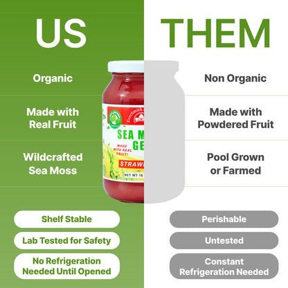 EverSmith Organics - Wildcrafted Irish Sea Moss Gel | Made in USA | Rich in Vitamins EverSmith OrganicsUS supplements