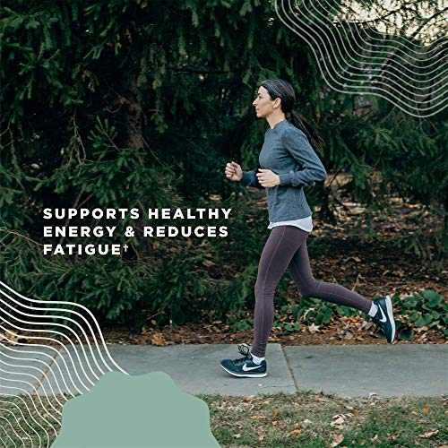 Ancient Nutrition Women's Hormones, Helps Reduce Stress, Supports Energy, Hormone Ancient NutritionAu supplements