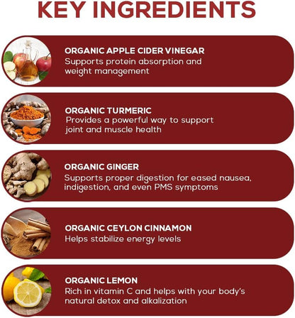 Paleovalley Apple Cider Vinegar Complex with Superfoods - Turmeric, Ginger, Ceylon Cinnamon and Lemon - 84 Vegetable Capsules PaleovalleyUS supplements