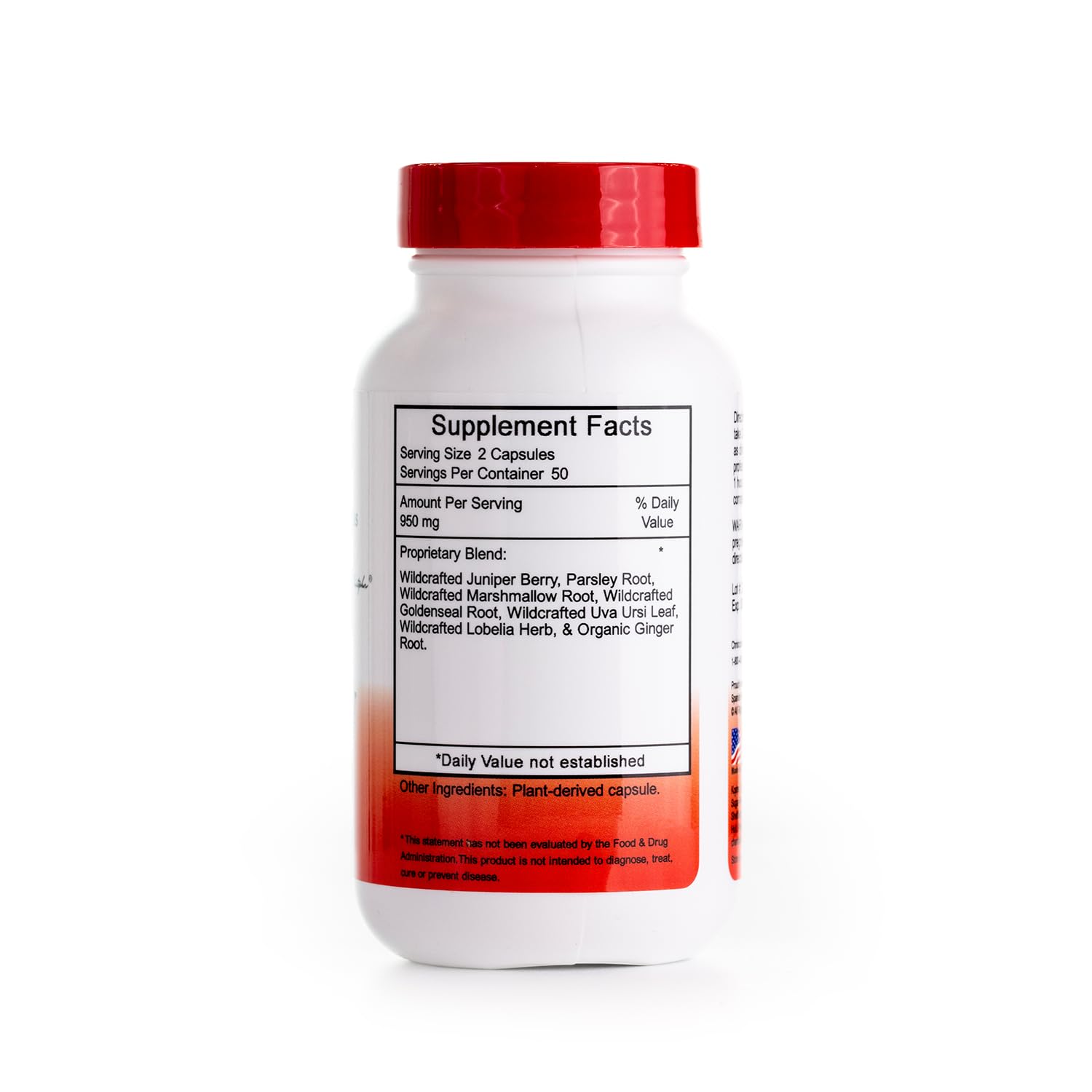 Christopher's Original Formulas Kidney Formula - Kidney Cleanse Detox & Repair Formula - Herbal Blend for Kidney Support Christopher's Original FormulasAu supplements