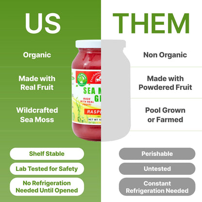 EverSmith Organics - Wildcrafted Irish Sea Moss Gel | Made in USA | Rich in Vitamins EverSmith OrganicsUS supplements