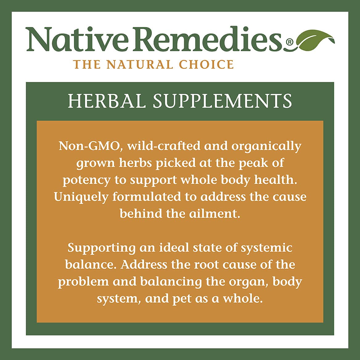 Native Remedies Inflam Dr. - All Natural Herbal Supplement Promotes Healthy Inflammation Response - Helps Fight Oxidative Stress to Cells - 60 Veggie Caps Native RemediesAu supplements