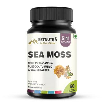 SETNUTRA Well From Within Sea Moss 6 in 1 Super Blend Ashwagandha Burdock Turmeric & Bladderwrack Immunity & Detox Support 60 Veg Capsules Non GMO No Gluten SETNUTRA Well From WithinAu supplements