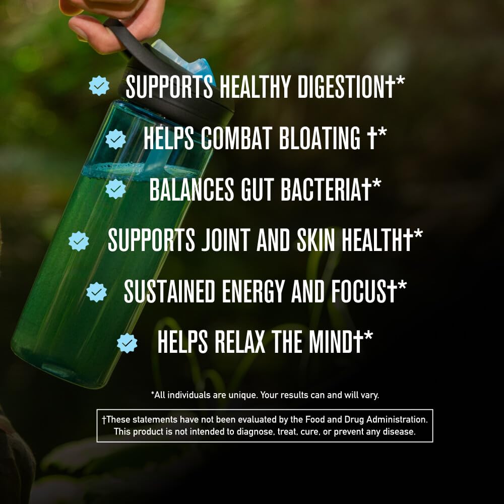 ROUNDHOUSE PROVISION Morning Kick, Greens Superfood Powder Supplement with Ashwagandha, Collagen & Probiotics - Sugar Free, Caffeine Free (3 Pack, Strawberry Lemonade Flavor) by Chuck Norris ROUNDHOUSE PROVISIONAu supplements