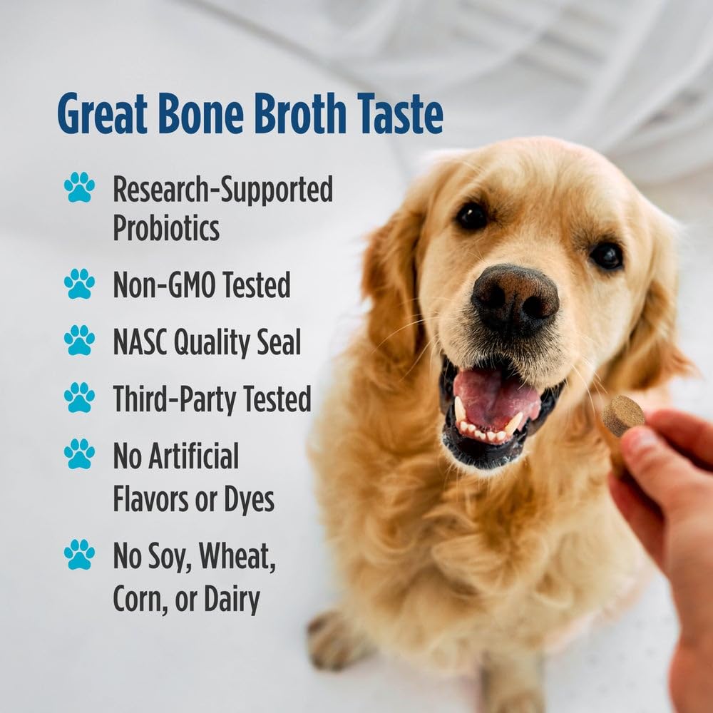 Nordic Naturals Pet Digestive Support with Probiotics, Pork Bone Broth Flavor - 30 Soft Chews - Nutritional Supplement for a Healthy Digestive System and GI Support - 30 Non-GMO Chews Nordic NaturalsAu supplements