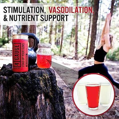 4 Gauge Natural Preworkout Without The Jitters | 30 Servings | Nitric Oxide Booster 4 GaugeUS supplements