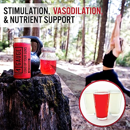 4 Gauge Natural Preworkout Without The Jitters | 30 Servings | Nitric Oxide Booster 4 GaugeAu supplements