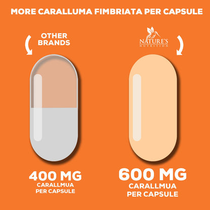 Pure Caralluma Fimbriata Extract Highly Concentrated 1200mg - Natural Endurance Support Nature's NutritionUS supplements