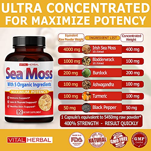 VITAL HERBAL Irish Sea Moss Capsules Equivalent to 5450mg - Maximum Potency VITAL HERBALUS supplements