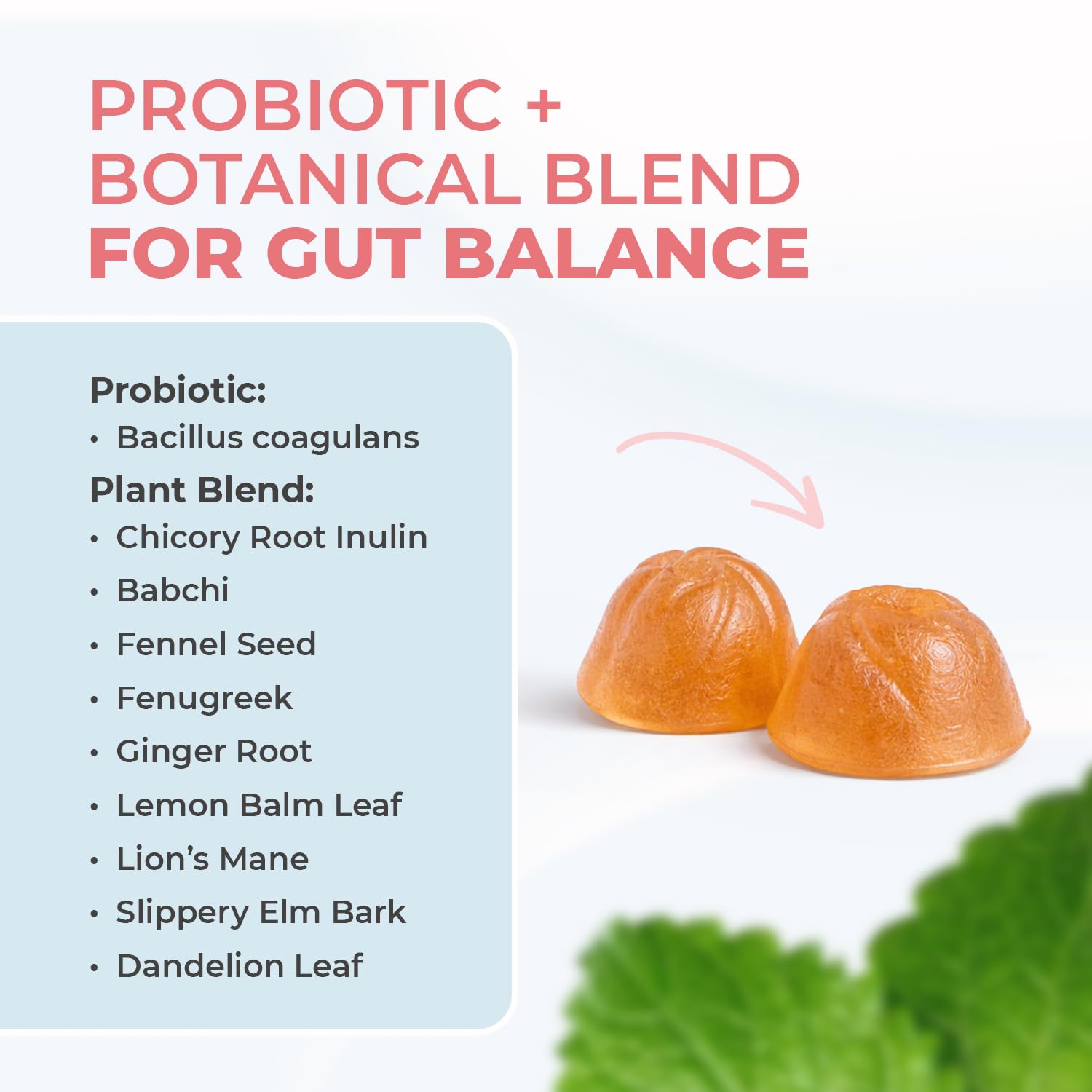 Nature’s NutriWave PrimeBiome Probiotic Gummies – Plant-Based Blend with Inulin, Lion’s Mane, Ginger & More– Non-GMO, No Stimulants, GMP Certified – 30 Gummies, 6 Month Supply Nature’s NutriWaveAu supplements