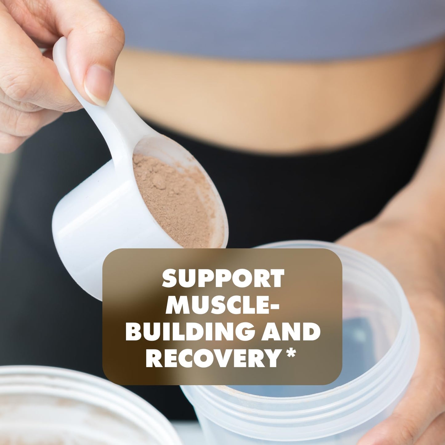 Sculpt Nation by V Shred Protein Powder (Chocolate) - Premium Whey Protein Powder Sculpt NationUS supplements