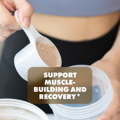 Sculpt Nation by V Shred Protein Powder (Chocolate) - Premium Whey Protein Powder Sculpt NationUS supplements