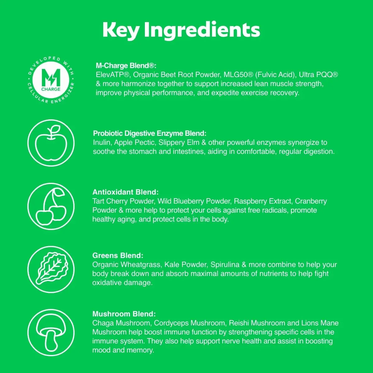 L'Evate You Vitality Daily Greens Powder (28 Servings) 30 Superfoods, 9 Greens - for a Cellular Energy Boost, Powered by M-Charge Complex for All Day Energy (Original) Steve Harvey's L'Evate Younz supplements