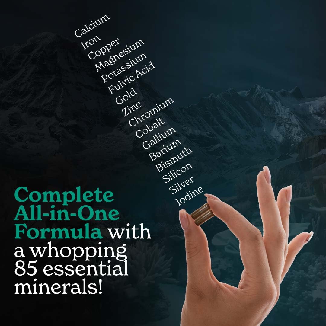 Better Alt Shilajit Sea Moss Capsules Pack of 2 with Ashwagandha & Black Pepper Extract with 85+ Essential Minerals & Antioxidants| Boosts Energy & Metabolism - 120 Servings, 240 Capsules Better AltAu supplements