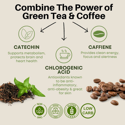 Fine USA Green Tea & Coffee | Clean Energy & Focus | Boost Metabolism | Catechins FINE USAUS supplements