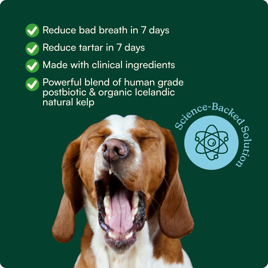 Reggie Dental Powder for Dogs | Reduce Bad Breath in 7 Days, Plaque & Tartar Control | Natural Dog Dental Supplement | Postbiotic Formula with Organic Kelp | Vet-Approved & Made in USA | 60 Servings ReggieAu supplements