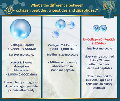 U+ Pure Collagen Dipeptide Supplement - Advanced Hydrolyzed Collagen Powder for Skin, Hair U+ Pure CollagenUS supplements