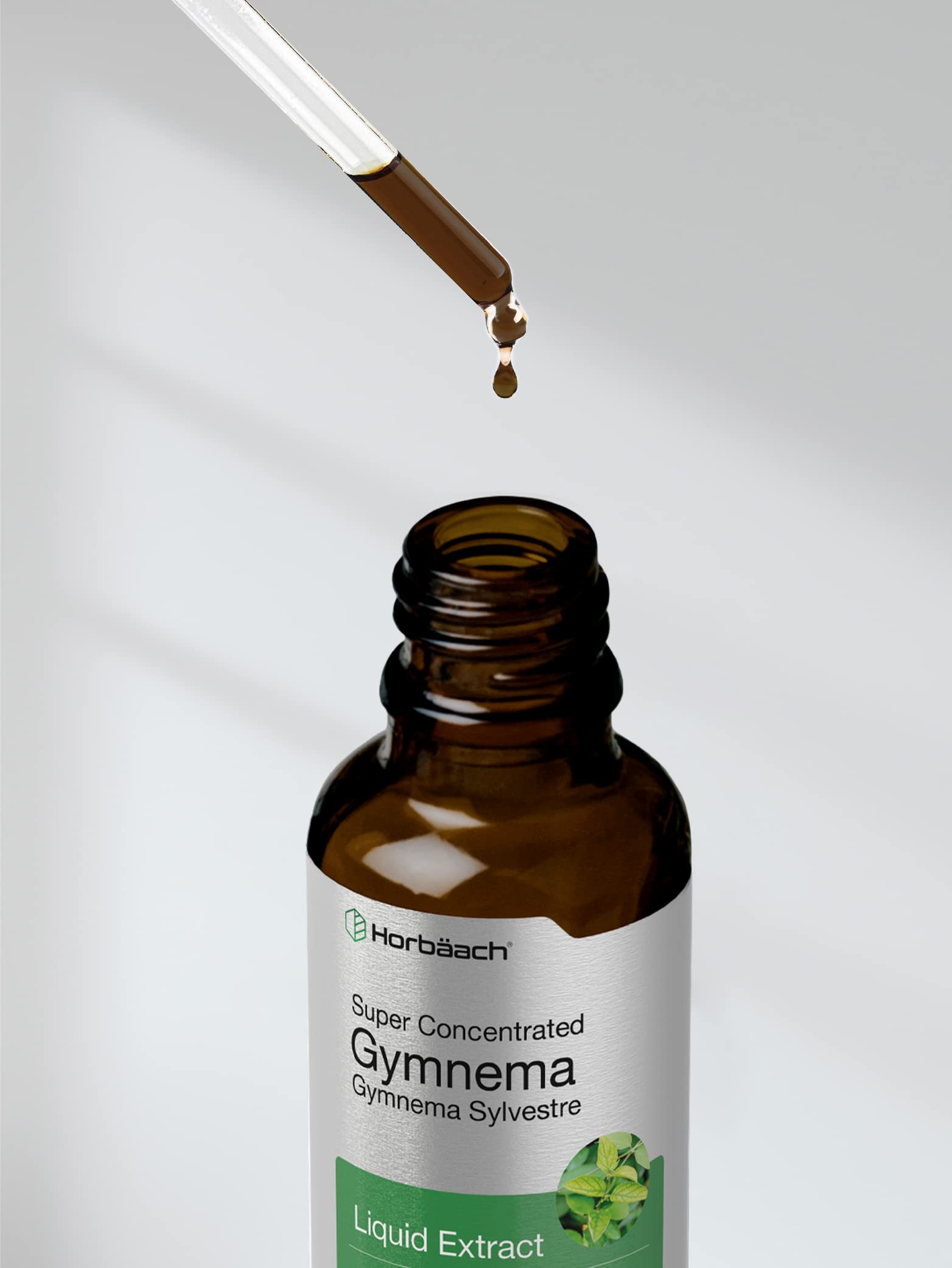 Gymnema Sylvestre Liquid | 2 fl oz | Alcohol Free Supplement | Super Concentrated HorbäachAu supplements