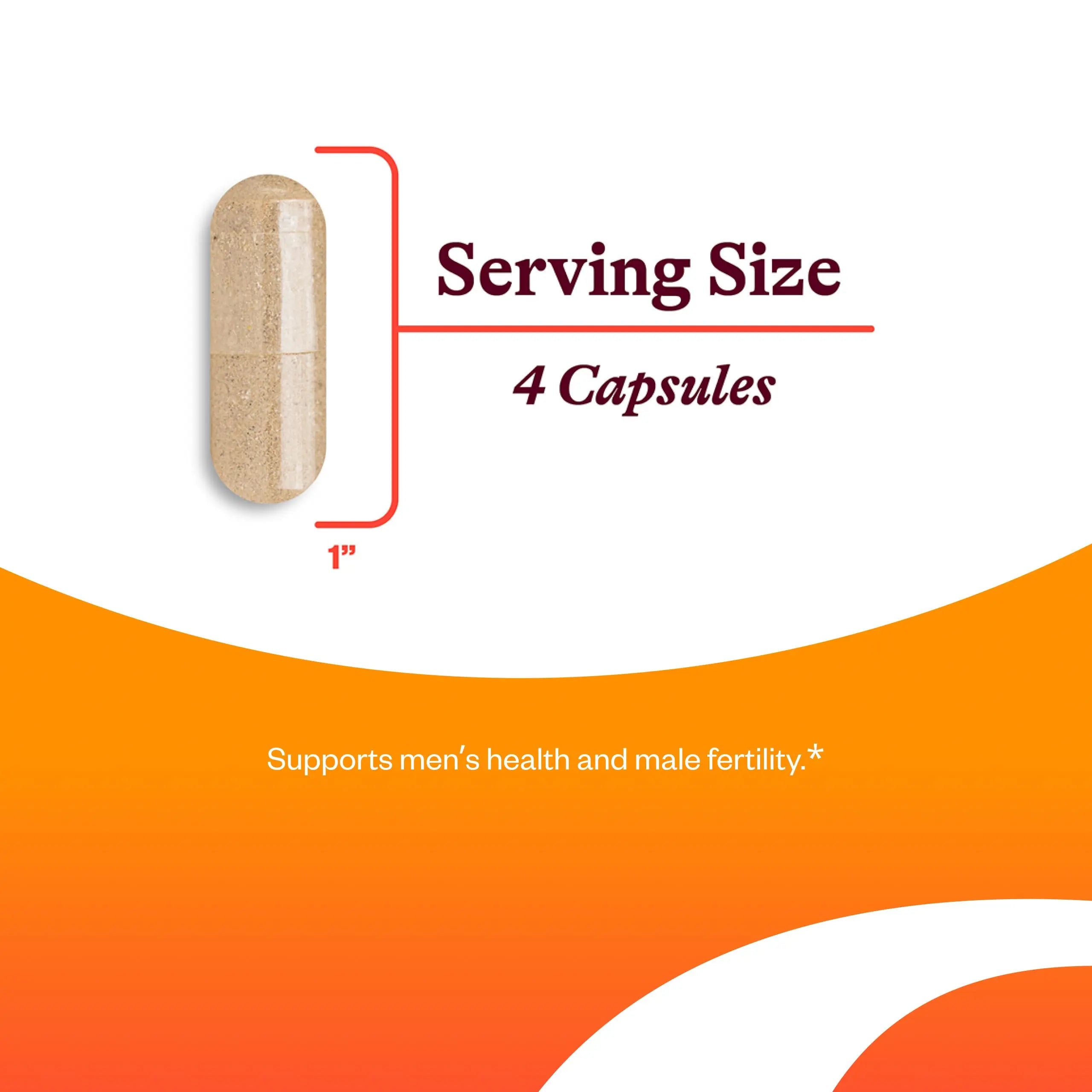 Seeking Health Optimal Man - Multivitamin Supplement with Zinc, Active Folate, & Alpha-Lipoic Acid - Multivitamin Supports Energy & Brain Health - Support Healthy Aging Seeking HealthAu supplements