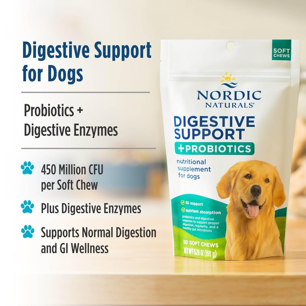 Nordic Naturals Pet Digestive Support with Probiotics, Pork Bone Broth Flavor - 30 Soft Chews - Nutritional Supplement for a Healthy Digestive System and GI Support - 30 Non-GMO Chews Nordic NaturalsAu supplements