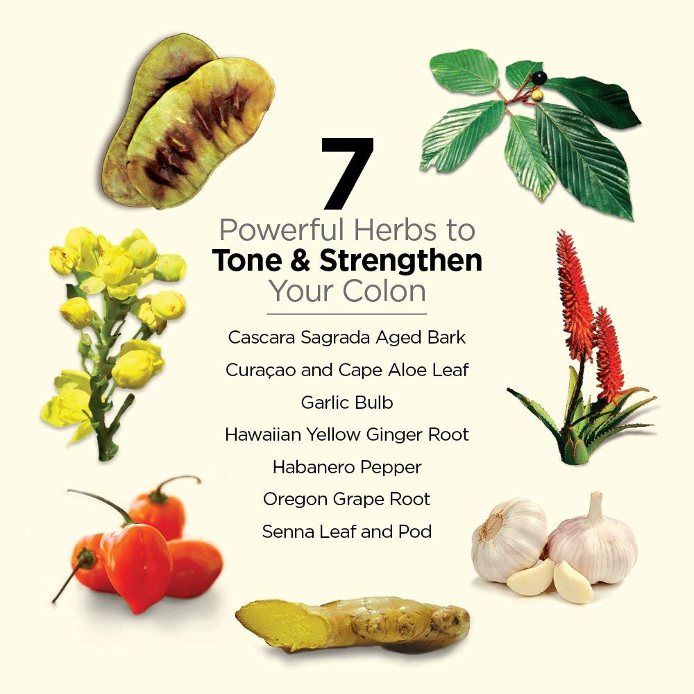 Dr. Schulze's 5-Day Bowel Detox - 5Day Cleanse Kit for a Gentle Bowel Reset - Supports Gut Health, Bloating & Easy Elimination - Natural, Clean Ingredients - Gluten-Free & Vegan Dr. Schulze'sAu supplements