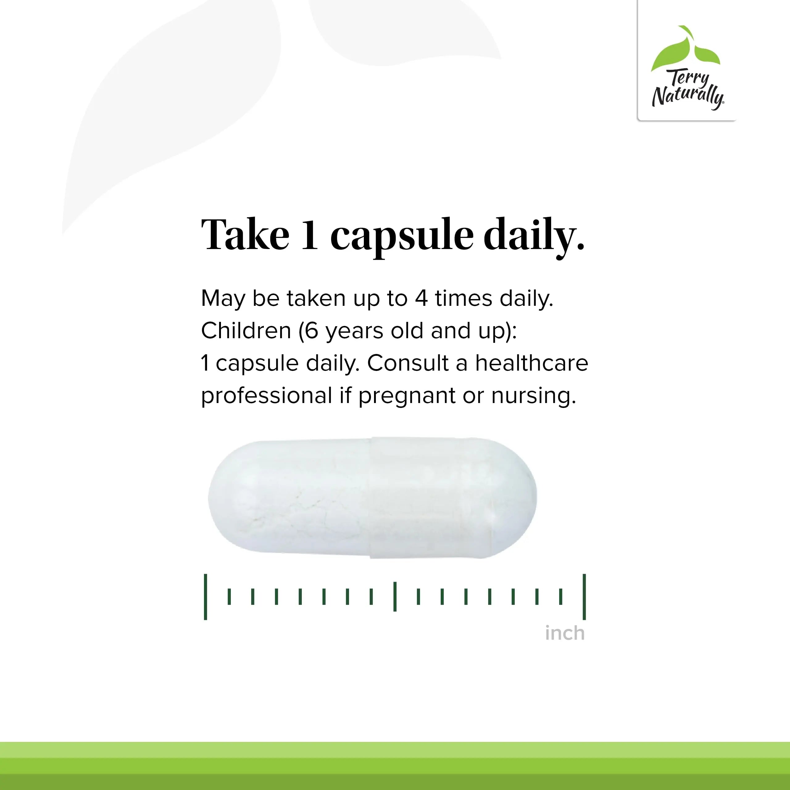 Terry Naturally BioActive Magnesium Complex - Bone & Heart Health Support - Supplement with Vitamin B6, Zinc & Magnesium - Pyridoxal-5-Phosphate Vegan Capsule Supplement - 120 Capsules Terry Naturallynz supplements
