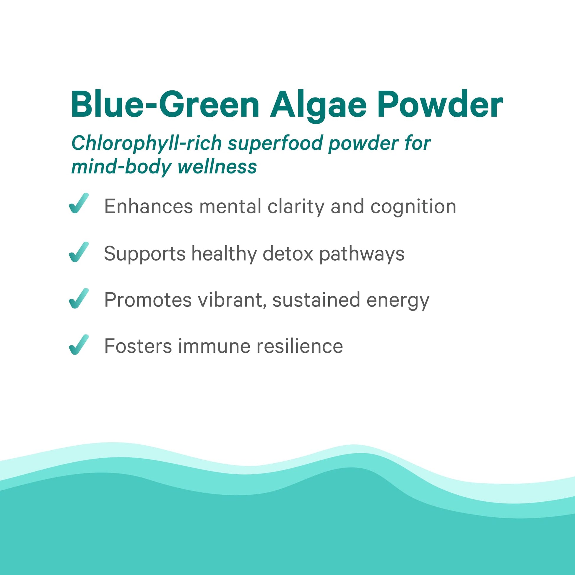PURE SYNERGY Blue-Green Algae Powder | Superfood Powder with Chlorophyll | Organic AFA Blue Green Algae Supplement | Supports Energy, Mental Clarity, and Detoxification (3.2 oz.) PURE SYNERGYAu supplements