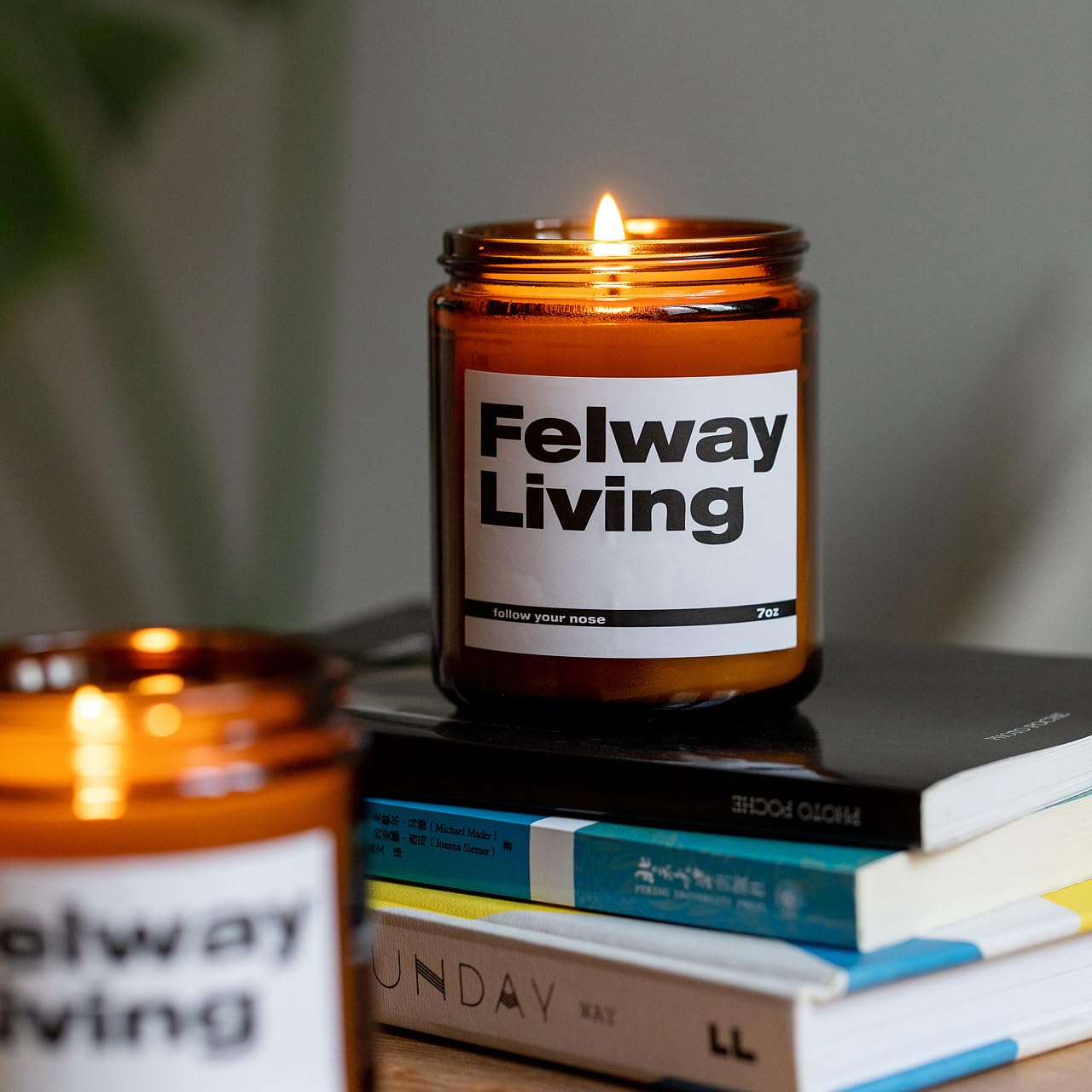FELWAY Vanilla Scented Candle, Organic Soy Candle for Home Scented, 7 oz Long Lasting, Gift for Women's FELWAYAu supplements