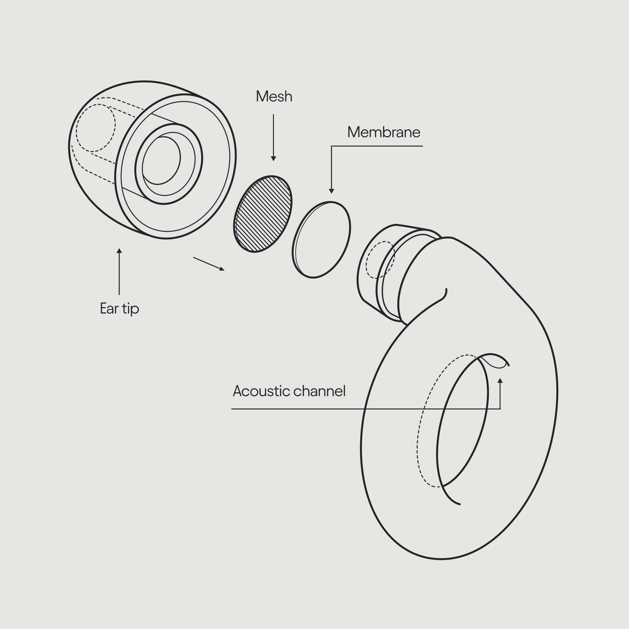 Loop Experience Ear Plugs for Concerts – High Fidelity Hearing Protection LoopAu supplements
