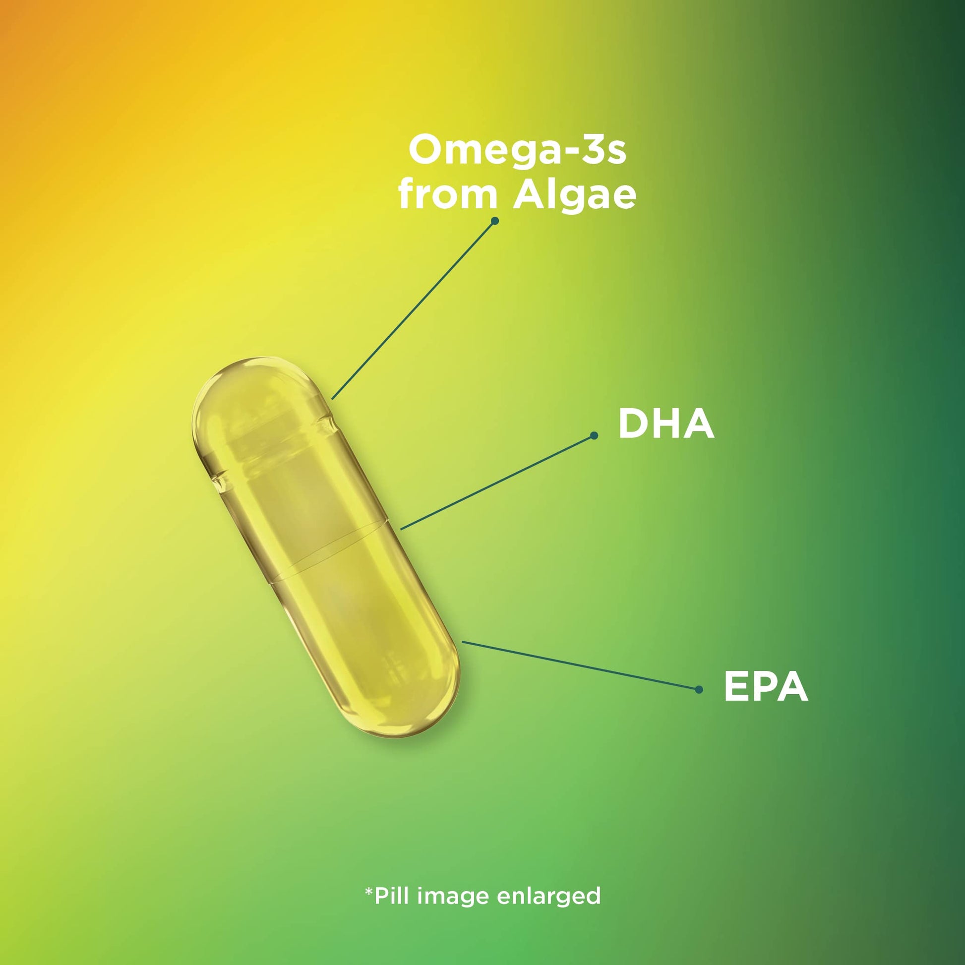 Theralogix PhytoLife Omega - 90-Day Supply - Vegan Algae Omega-3 Supplement TheralogixUS supplements