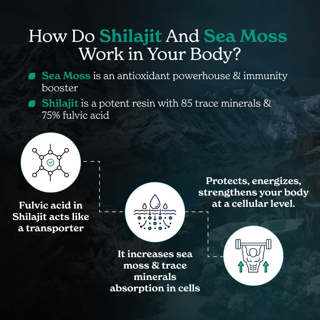Better Alt Shilajit Sea Moss Capsules Pack of 2 with Ashwagandha & Black Pepper Extract with 85+ Essential Minerals & Antioxidants| Boosts Energy & Metabolism - 120 Servings, 240 Capsules Better AltAu supplements