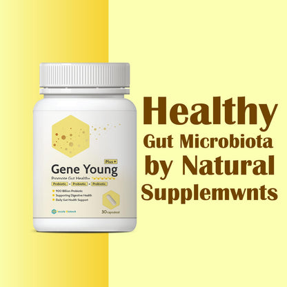 Fecula Biotech Superfood Resistant Starch,Prebiotics Supplement,Bifidobacterium longum Fecula BiotechUS supplements