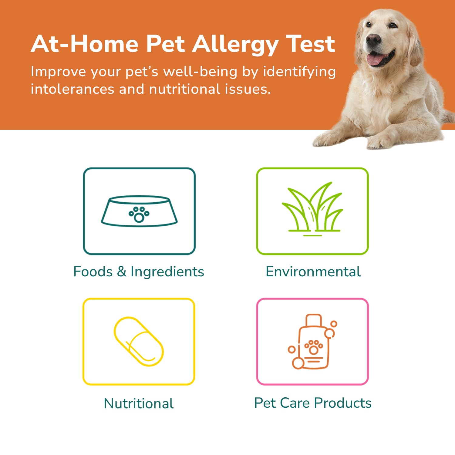 TotalVet Dog Allergy +1000 Food & Nutritional Sensitivity Test, Pet Intolerance Kit at Home — Advanced Complement to DNA Tests for Complete Pet Wellness TotalVetAu supplements